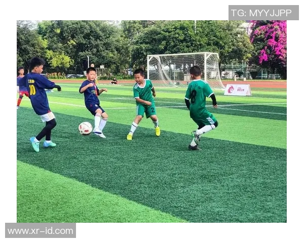 温州足球崛起之路:从地方小队到全国联赛的辉煌历程与未来展望